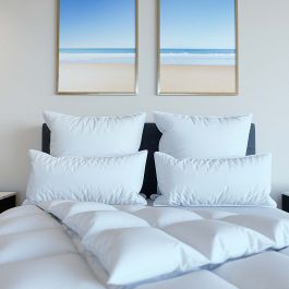 Compartmented All Natural Pillow-Standard 20x26in 29oz inner fill