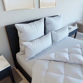 luxury_kissen-c_1.jpg