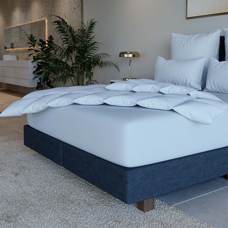 Hanse duvets and pillows clearance